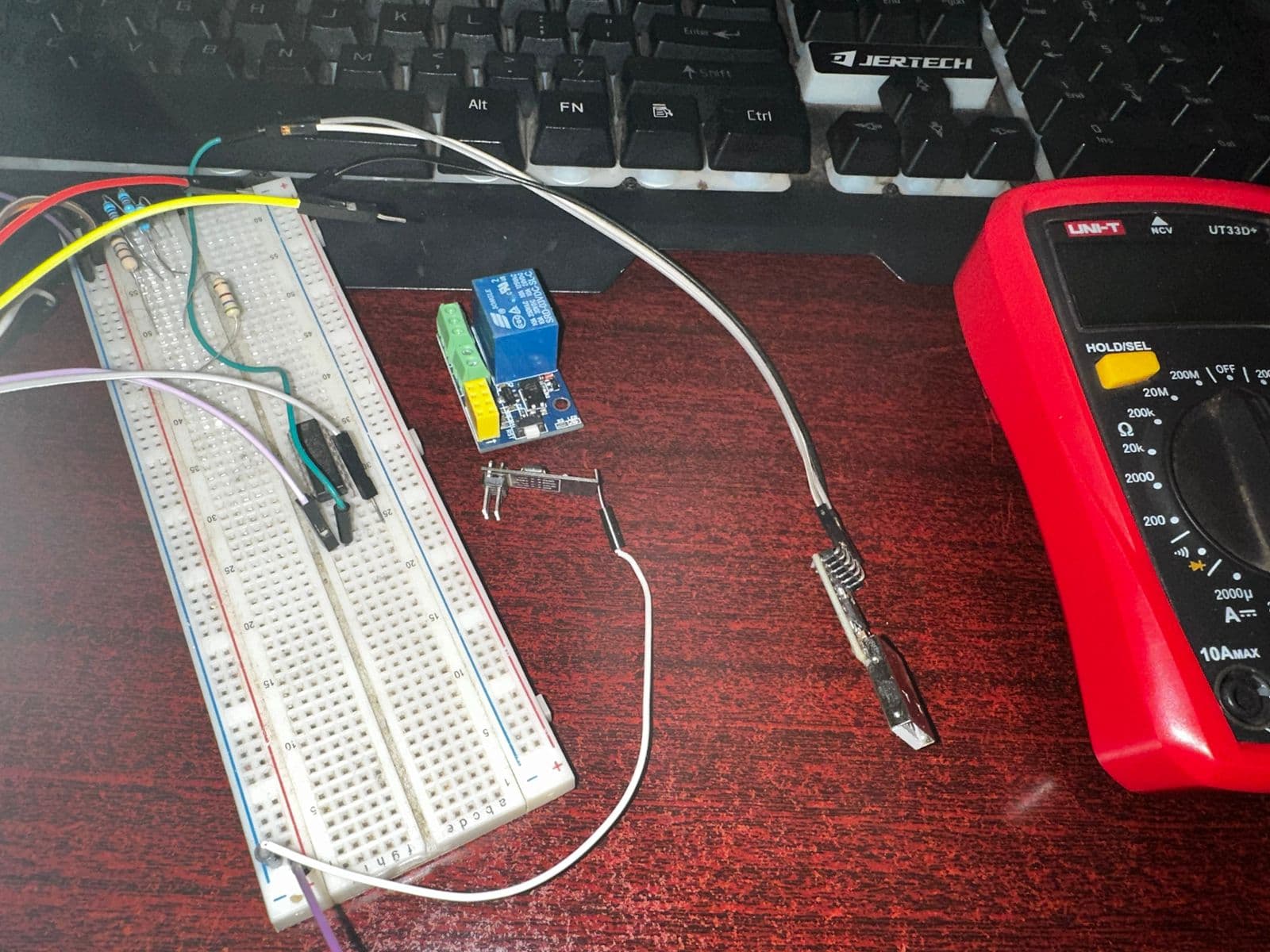 Light the Spark: Ignite Your Curiosity and Start Learning Something New Today